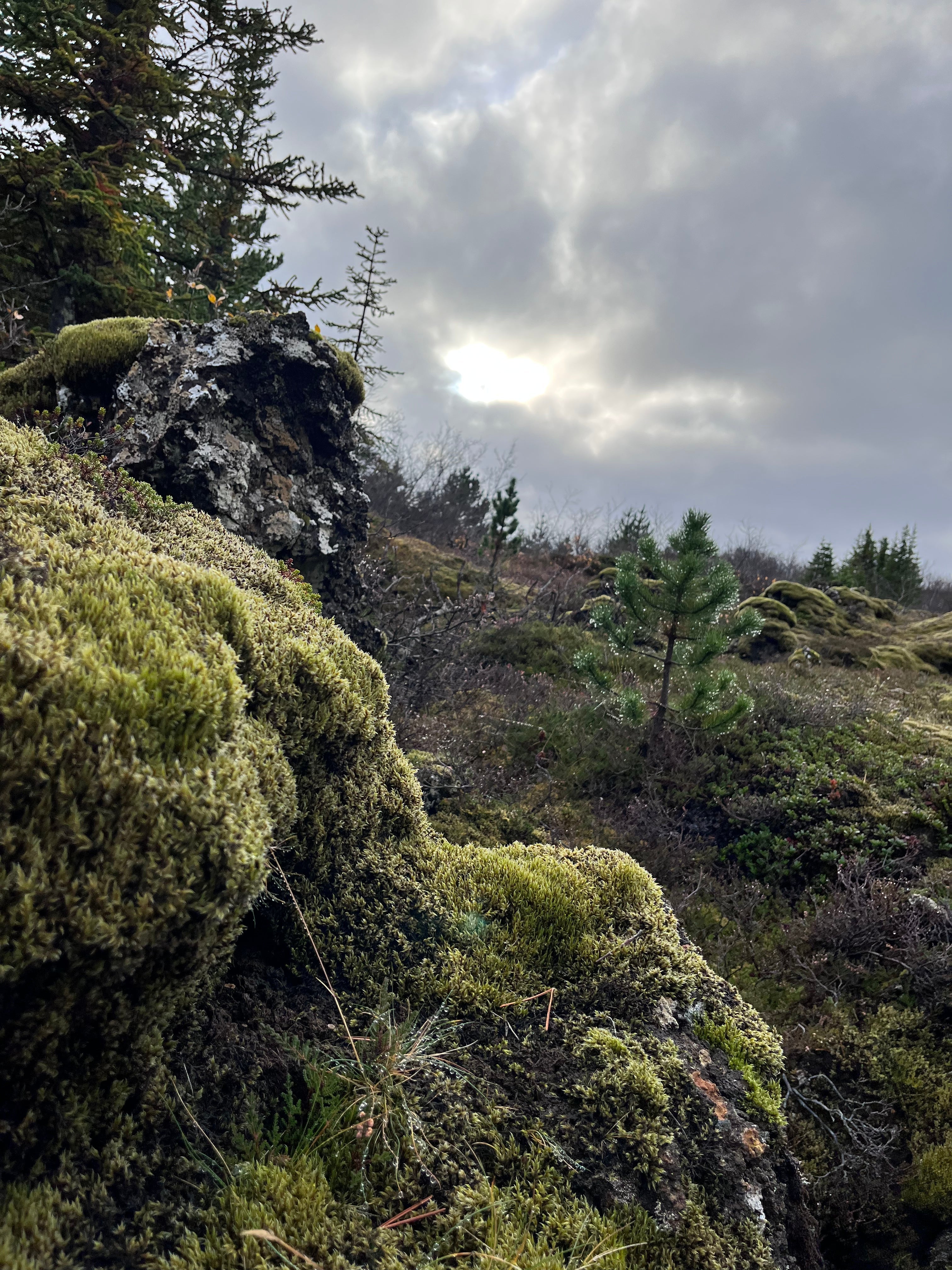 Finding inner steadiness