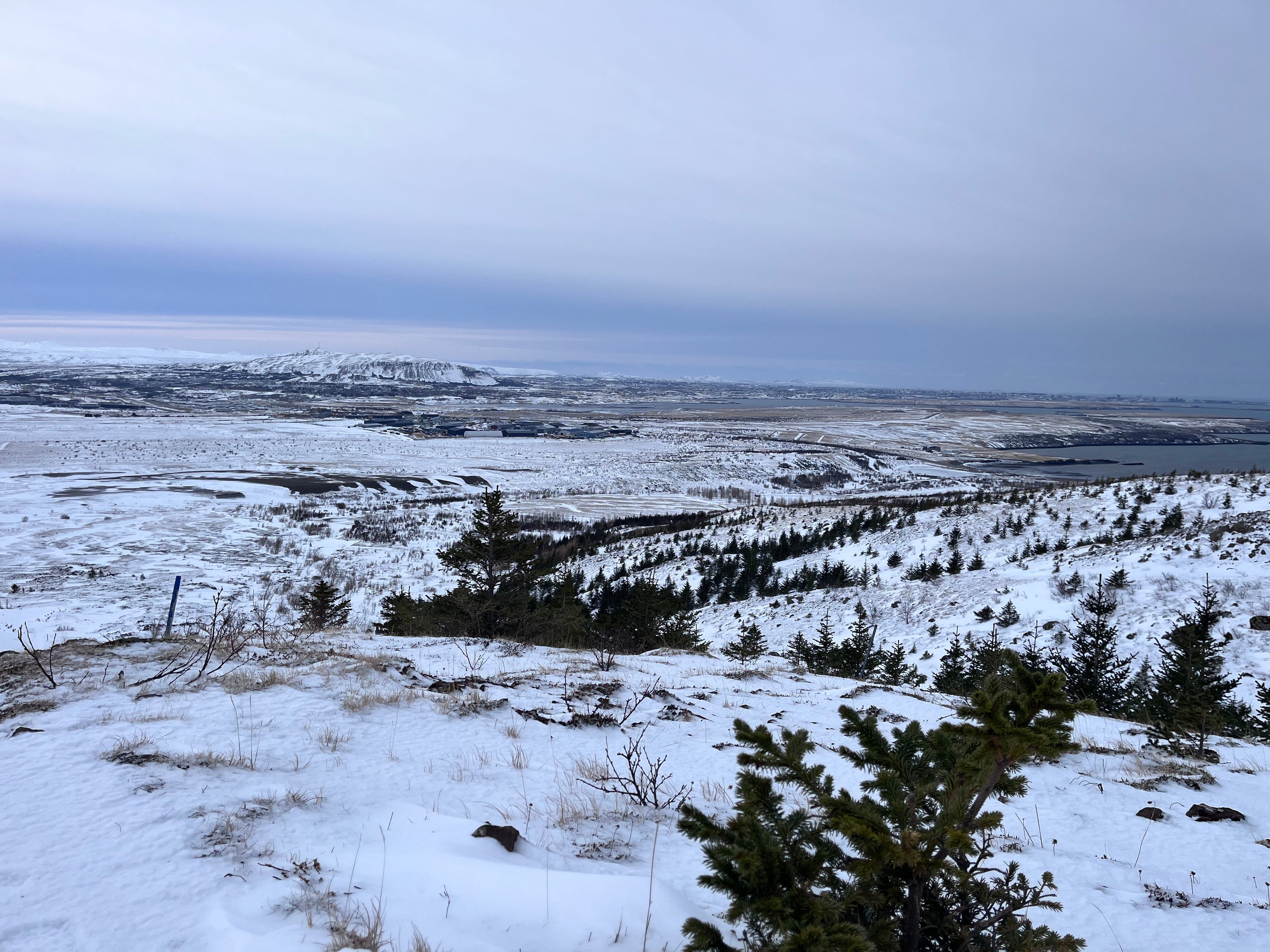 Returning to something simple