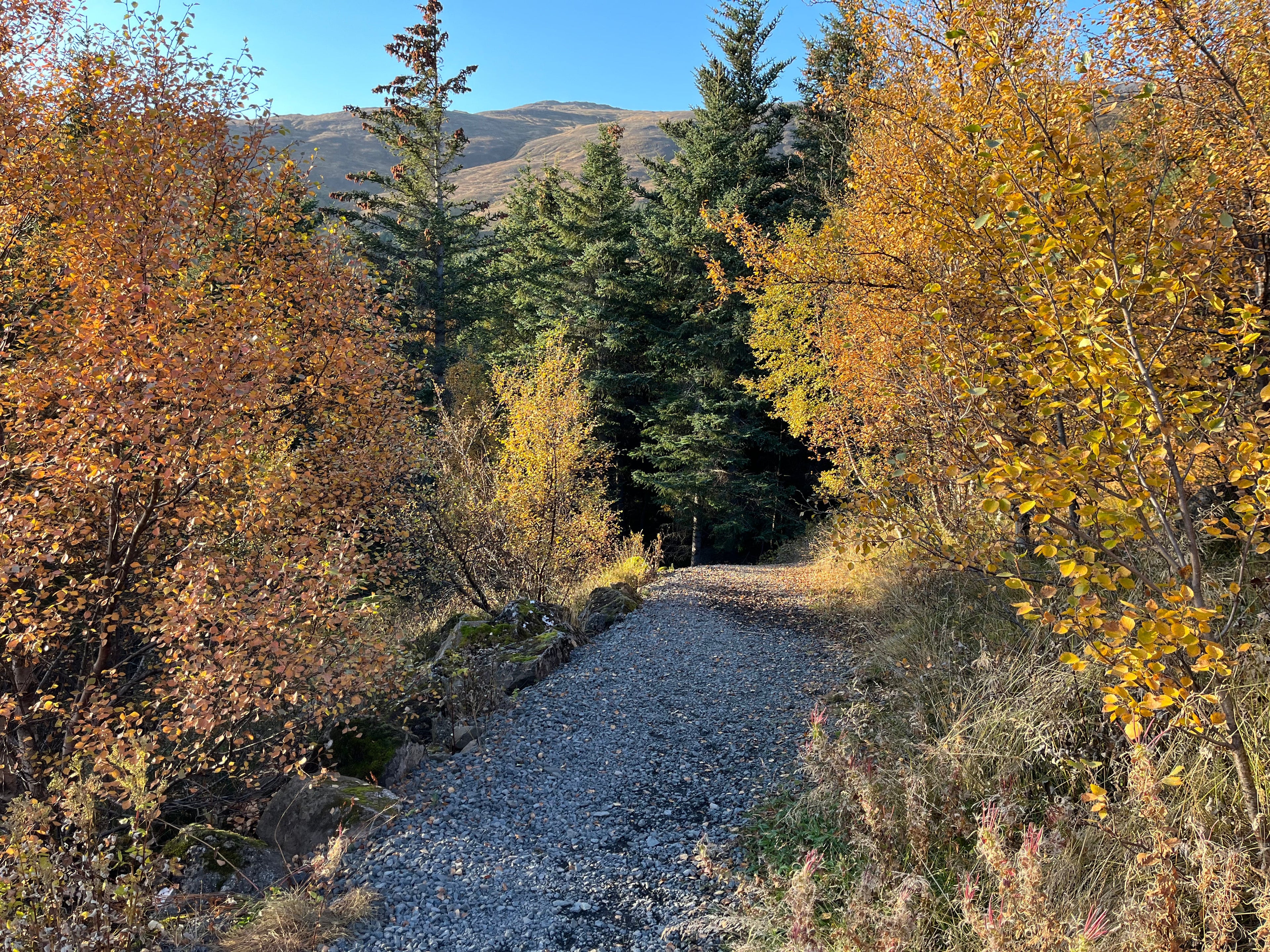 That Sustainability Voice: A Real Story