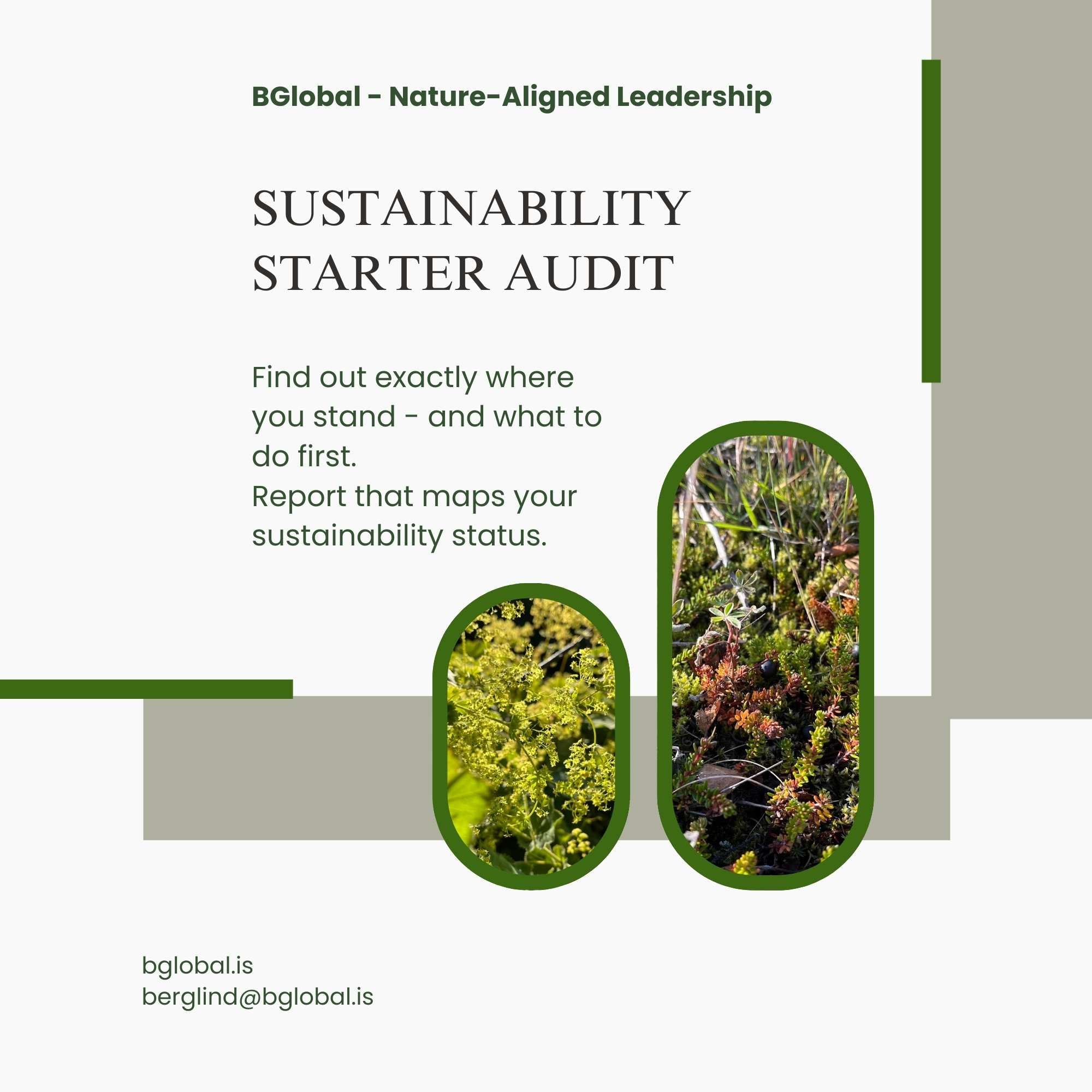 Sustainability Starter Audit