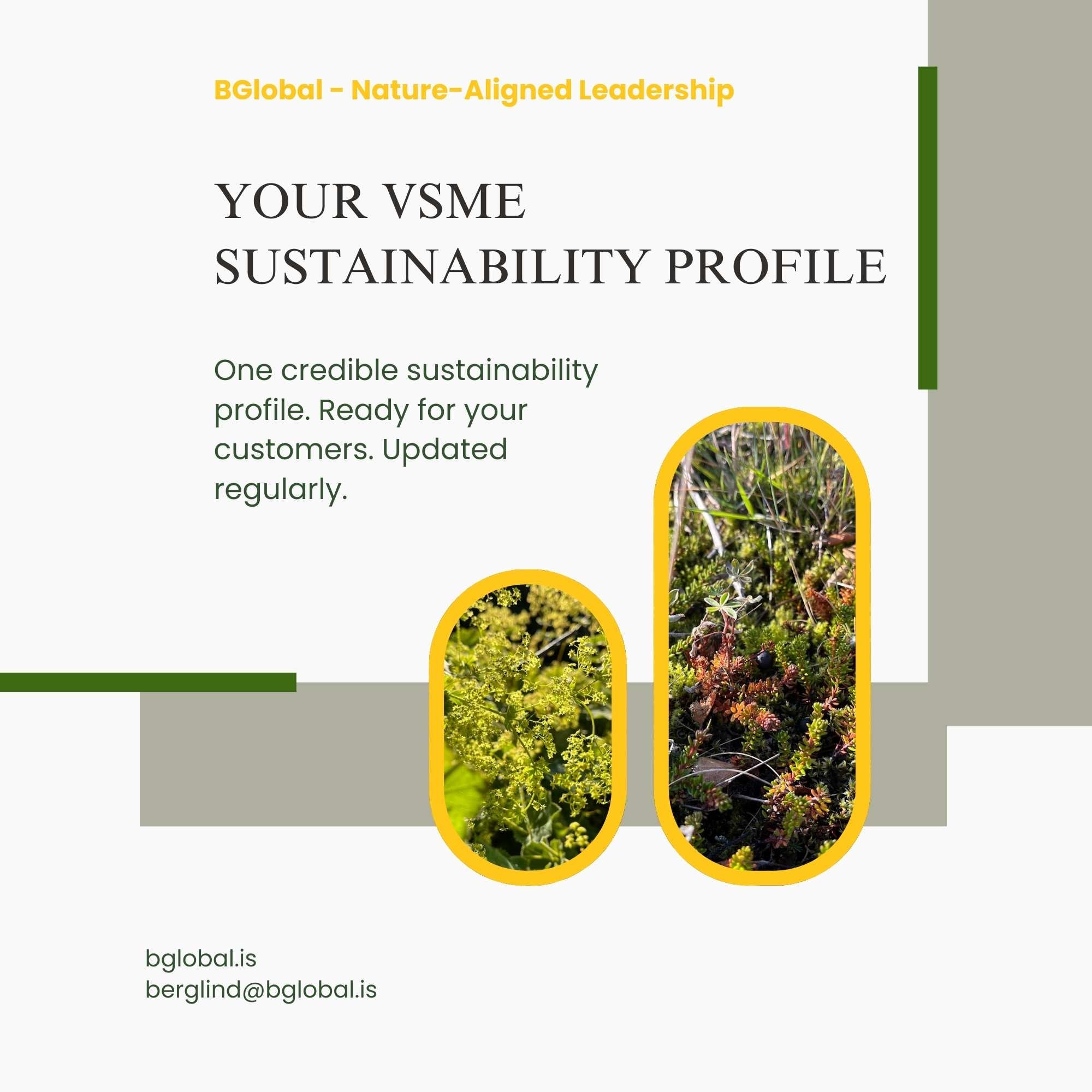 Your VMSE Sustainability Profile