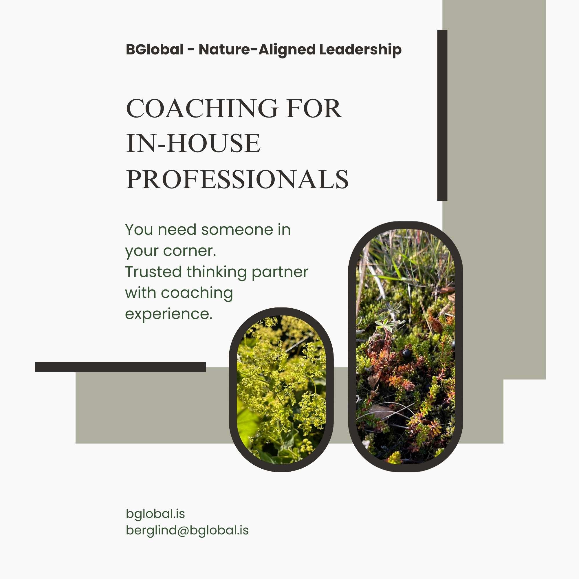 Coaching for In-House Sustainability Professionals